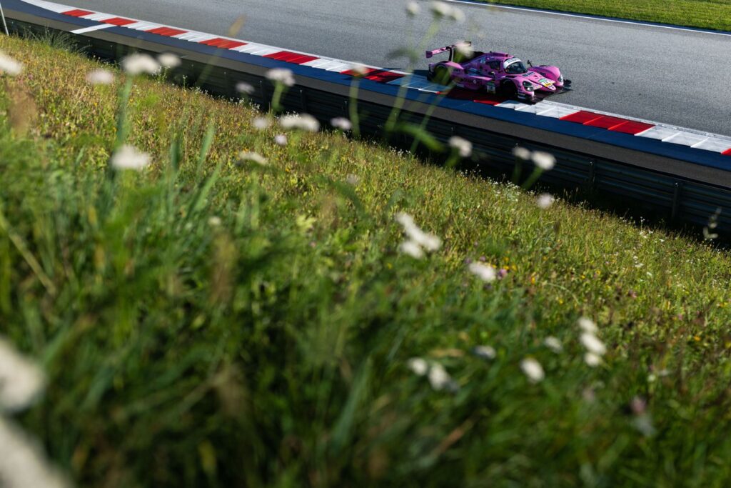 Maks Angelard, Mattis Pluschkell