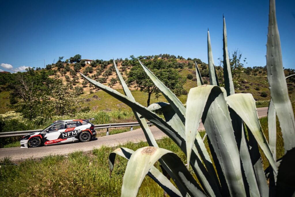 Adrian Rzeźnik, Kamil Kozdroń